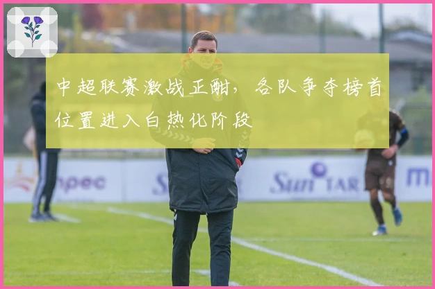 中超联赛激战正酣，各队争夺榜首位置进入白热化阶段